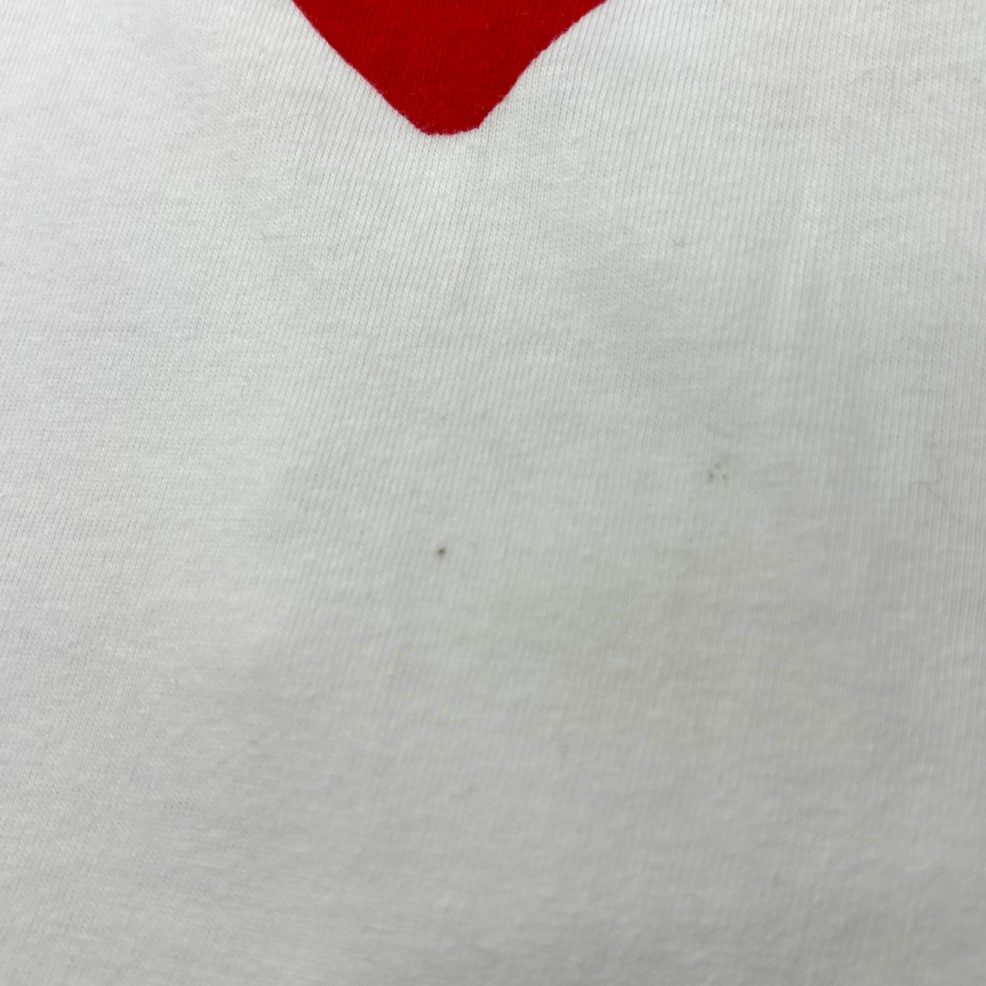 PLAY COMME des GARCONS×THE NORTH FACE(プレイコムデギャルソン×ノースフェイス) 20SS S/S TEE コラボ ロゴ ワッペン 半袖 Tシャツ AE-T202 XXL ホワイト AD2020