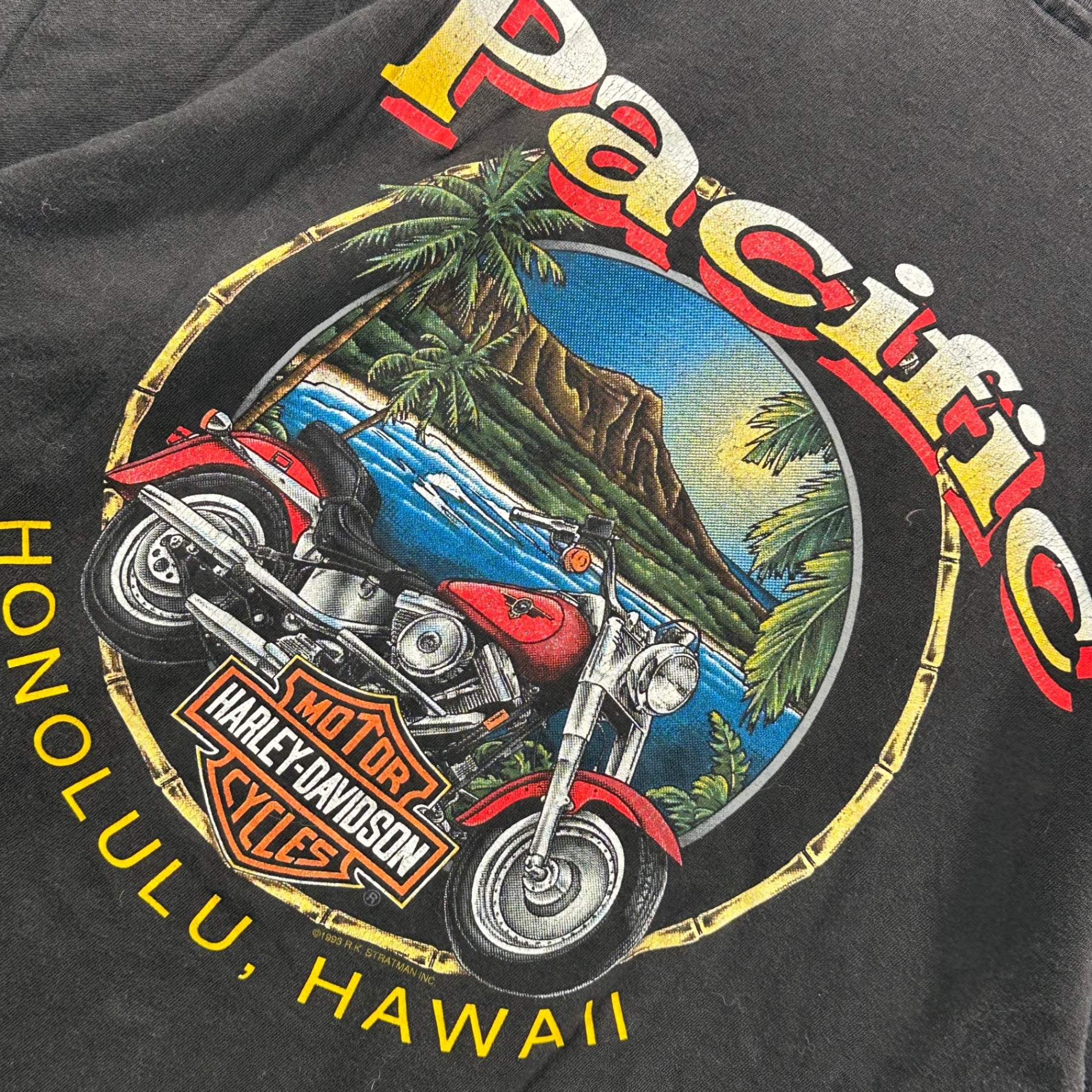 HARLEY DAVIDSON(ハーレーダビッドソン) 1996 USA made BEEFY-T Hanes