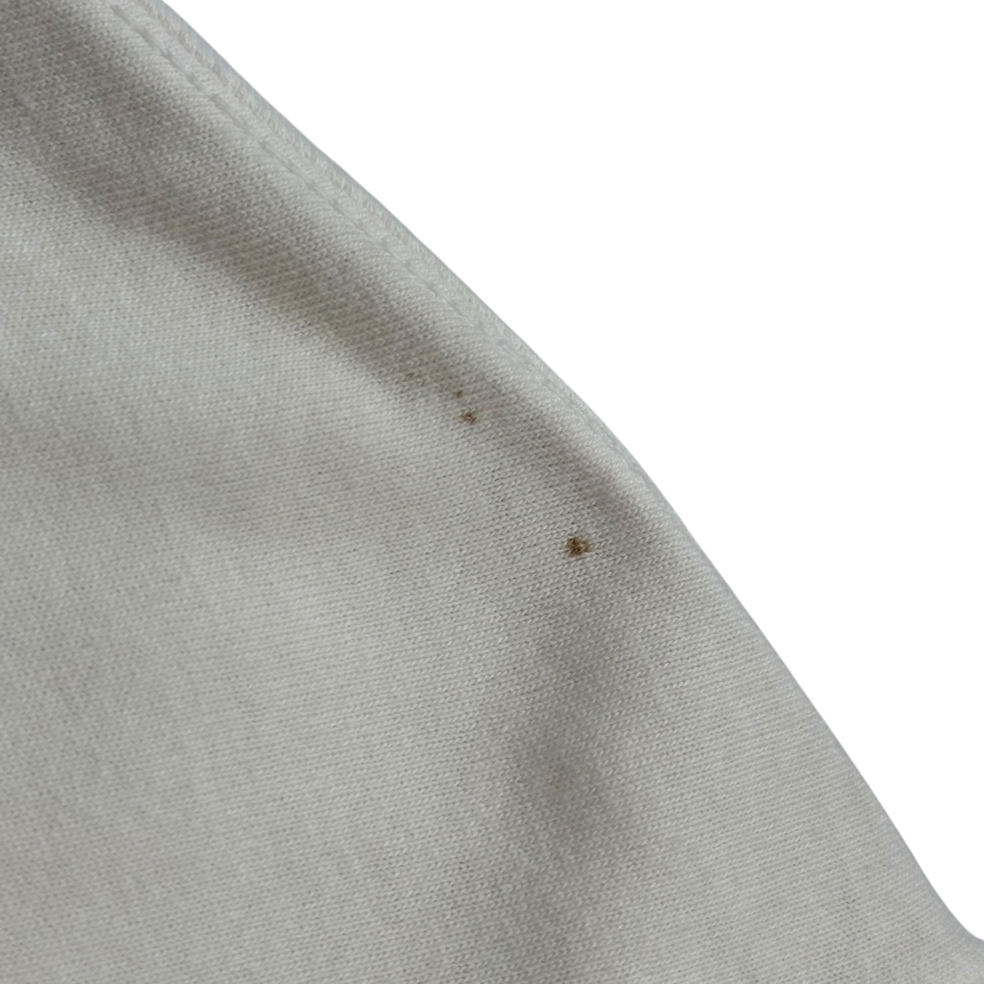 SAINT MICHAEL(セントマイケル) 2025SS MT_SS TEE / PICTURES / WHITE ロバート・メップルソープ コラボレーション ショートスリーブ Tシャツ SM-HR8-0000-C18 XL ホワイト