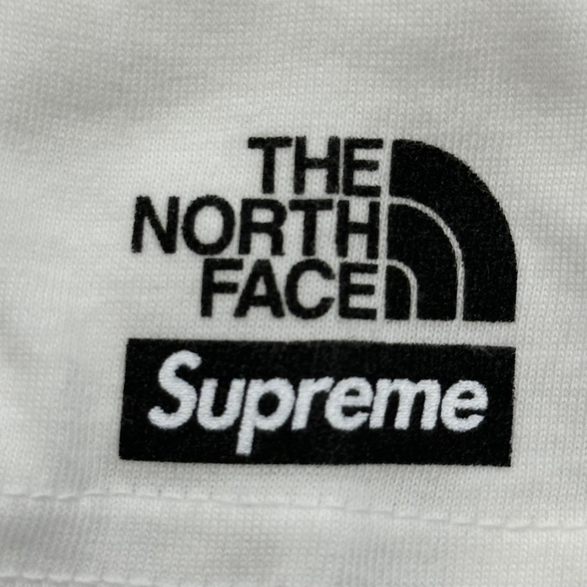 SUPREME×THE NORTH FACE(シュプリーム×ノースフェイス) 22SS Sketch S