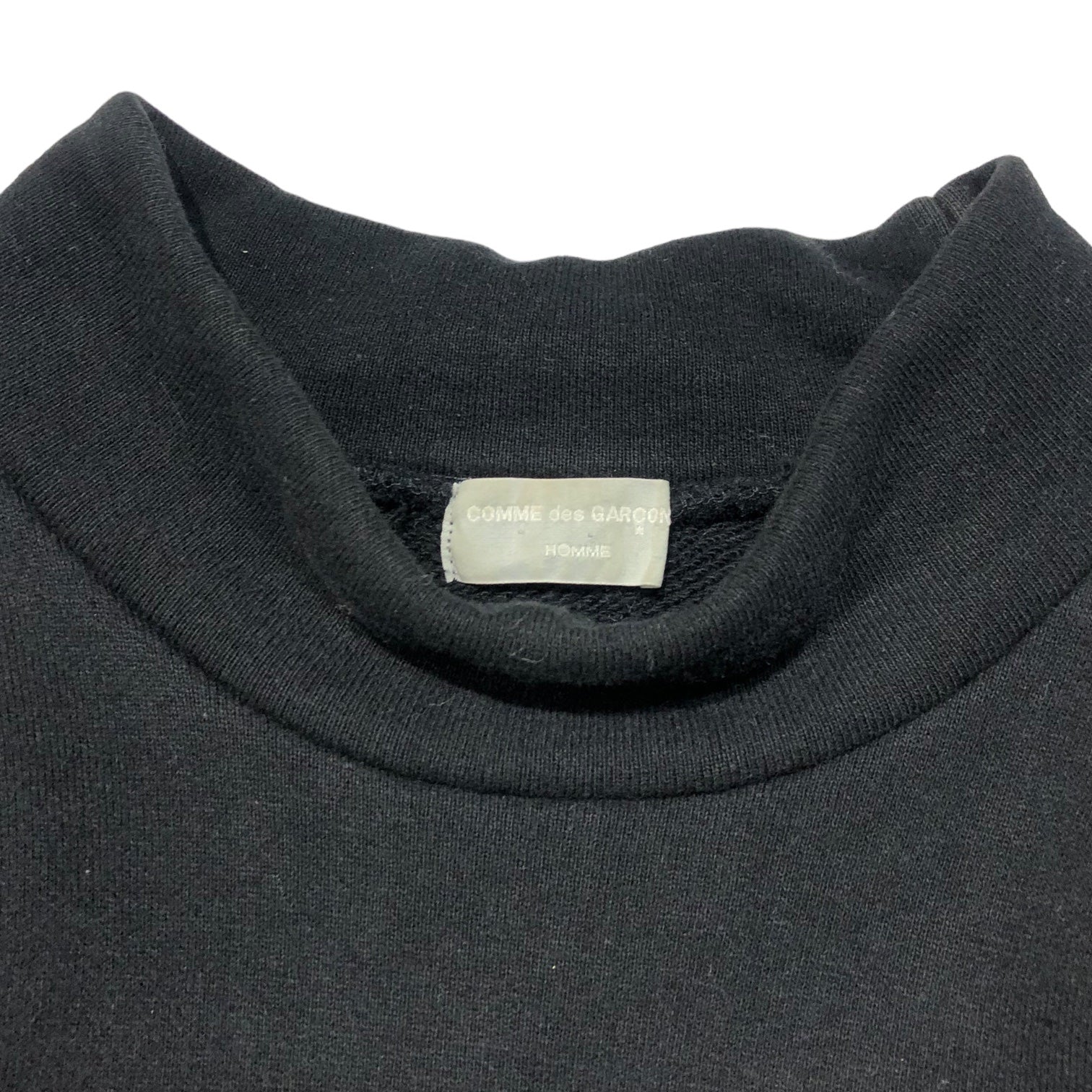 COMME des GARCONS HOMME(コムデギャルソンオム) 90's  Back logo mock neck sweatshirt バック ロゴ モック ネック スウェット 田中オム HT-080230 表記無し(M程度) ブラック AD1991