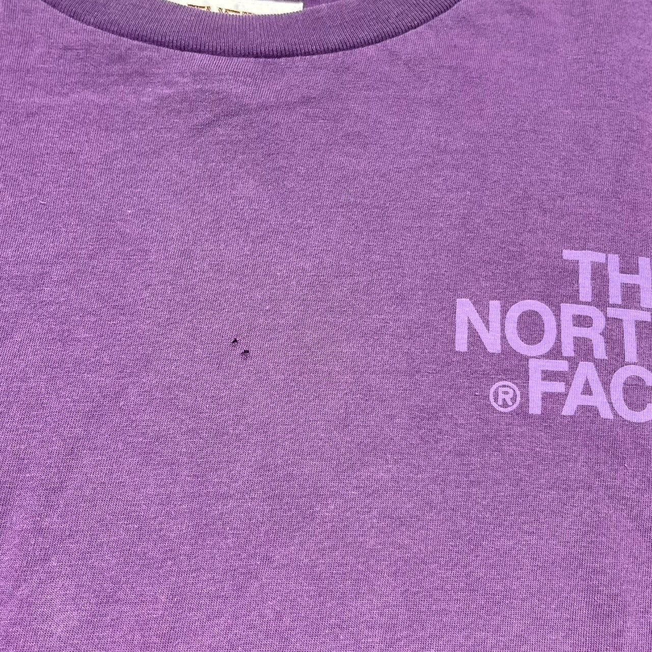 THE NORTH FACE(ノースフェイス) 90's Brown tag reproduction fade T-shirt 茶タグ復刻 フェード Tシャツ AT32914 S パープル