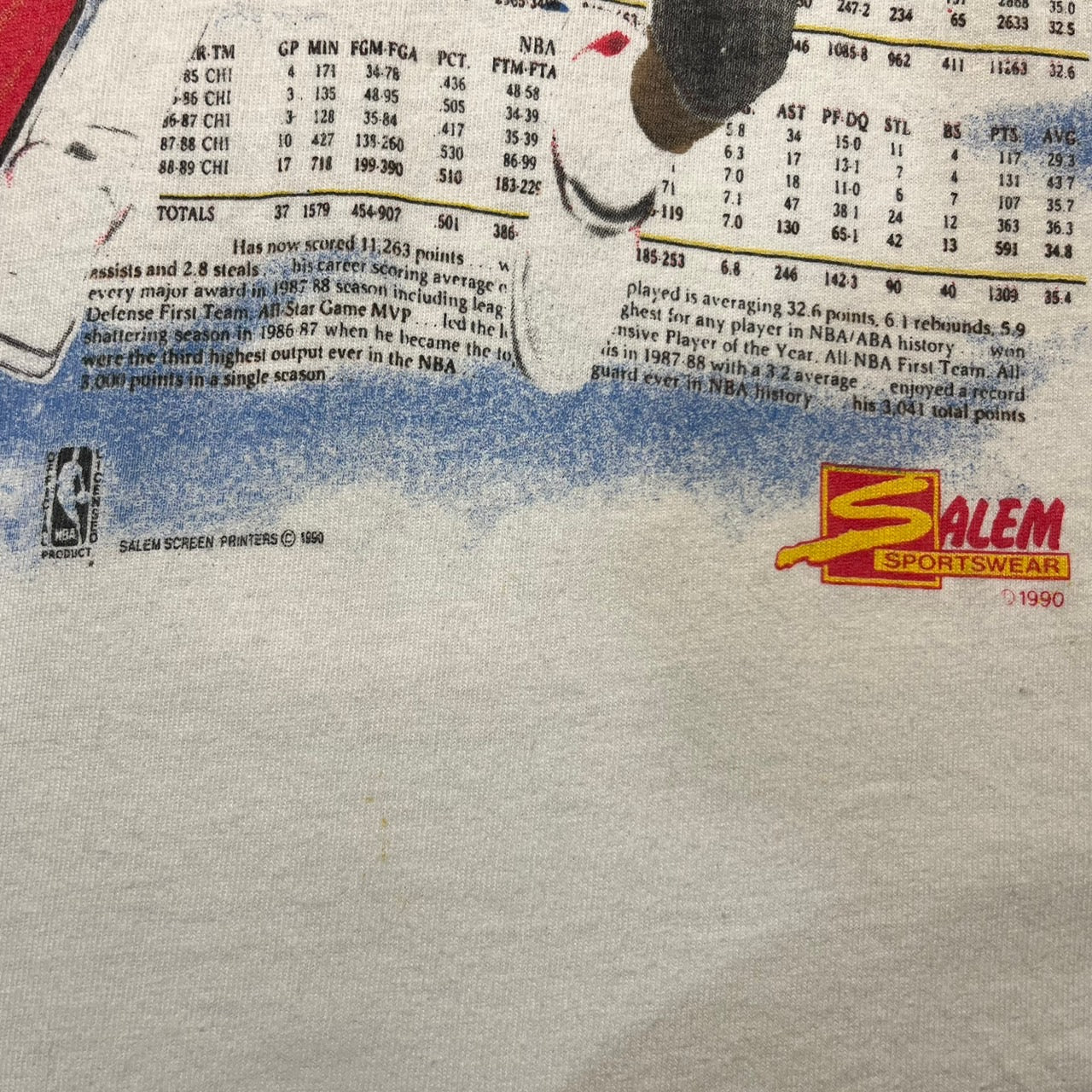 SALEM SPORTSWEAR(サレムスポーツウェア) 90'sJORDANプリントTシャツ