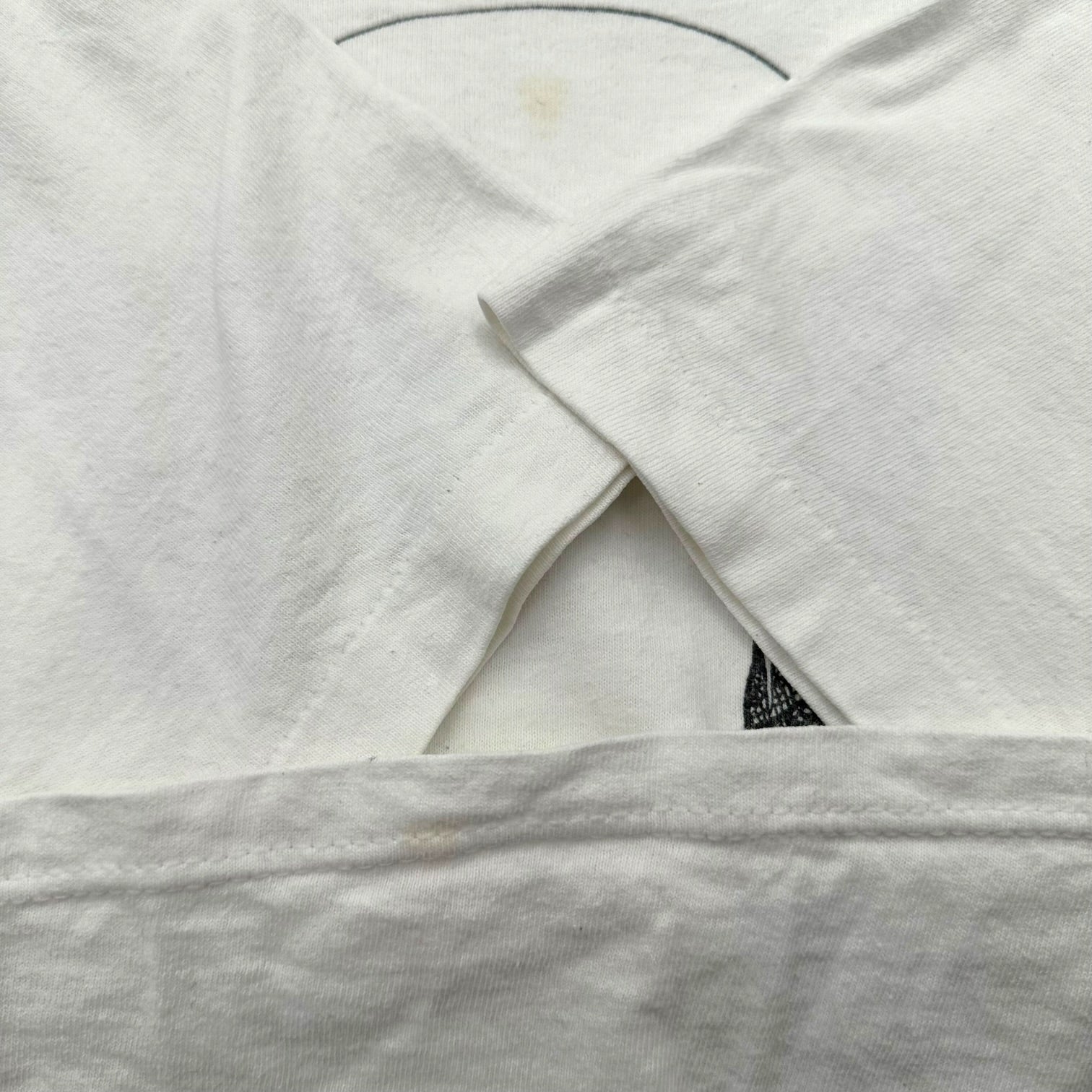 Largely Literary Series(ラージリー リテラリー シリーズ) 90's Charles Darwin Print T-Shirt 90年代 チャールズ ダーウィン プリント Tシャツ XL ホワイト×ブラック SOFFE SHIRTボディ ヴィンテージ 稀少品