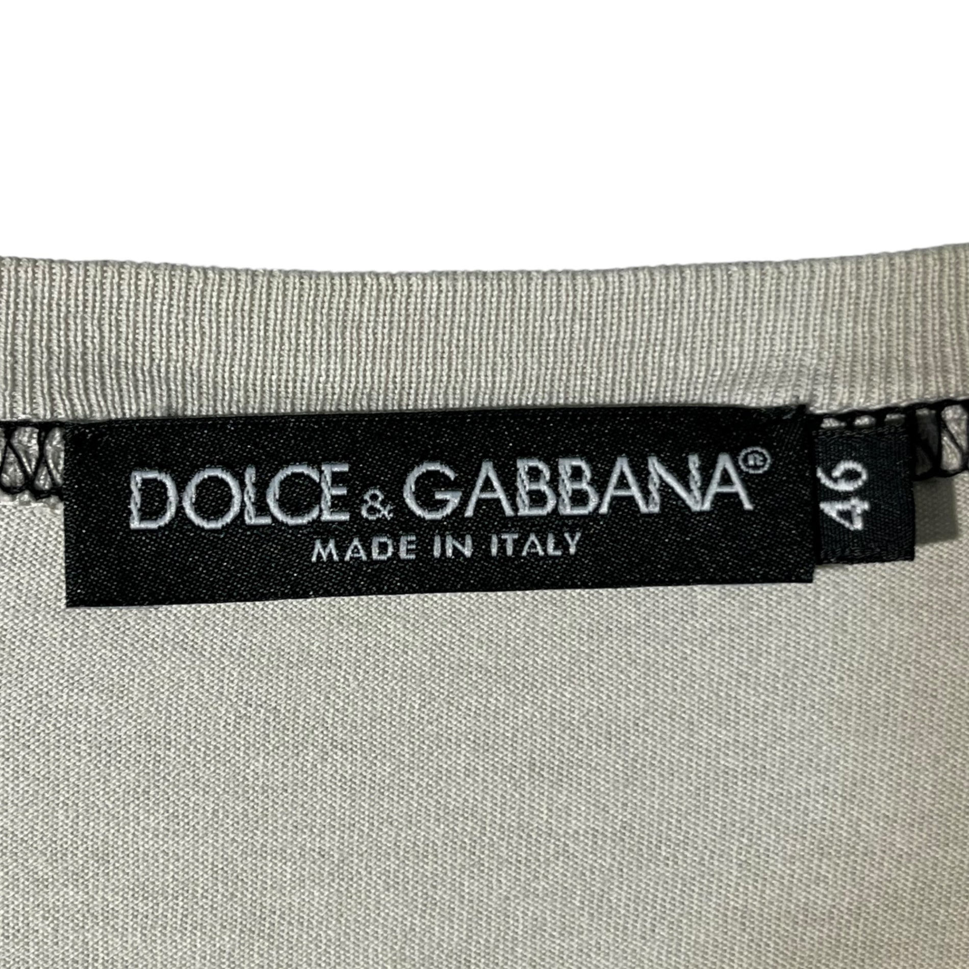 DOLCE&GABBANA(ドルチェ&ガッバーナドルガバ) ”BOXING ICON” tiger print TEE タイガー プリント Tシャツ G8O52G 46(M程度) グレー