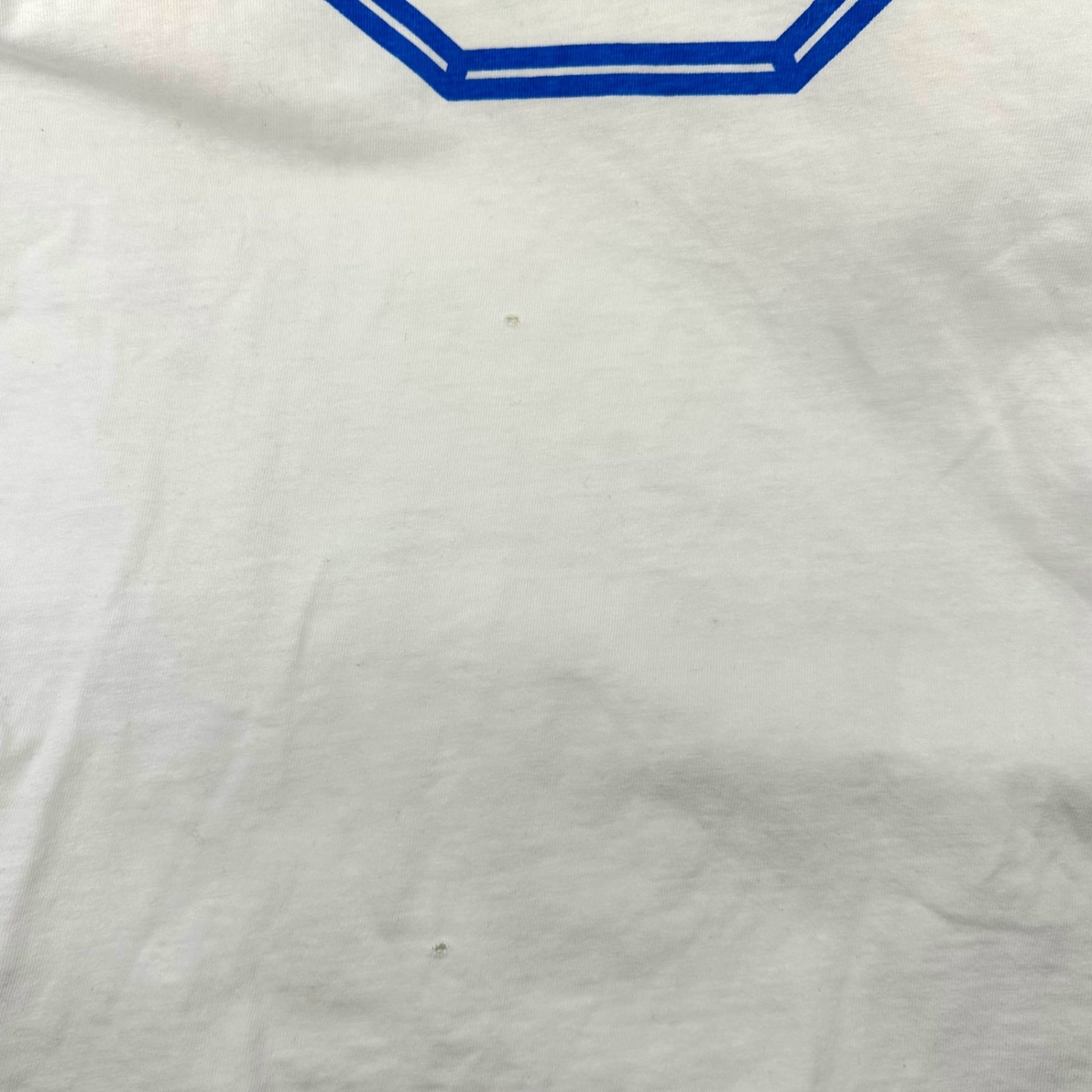GOODENOUGH(グッドイナフ) 90's EMBLEM LOGO S/S TEE 90年代初期 ONEITAボディ エンブレムロゴ ショートスリーブTシャツ M ホワイト×ブルー