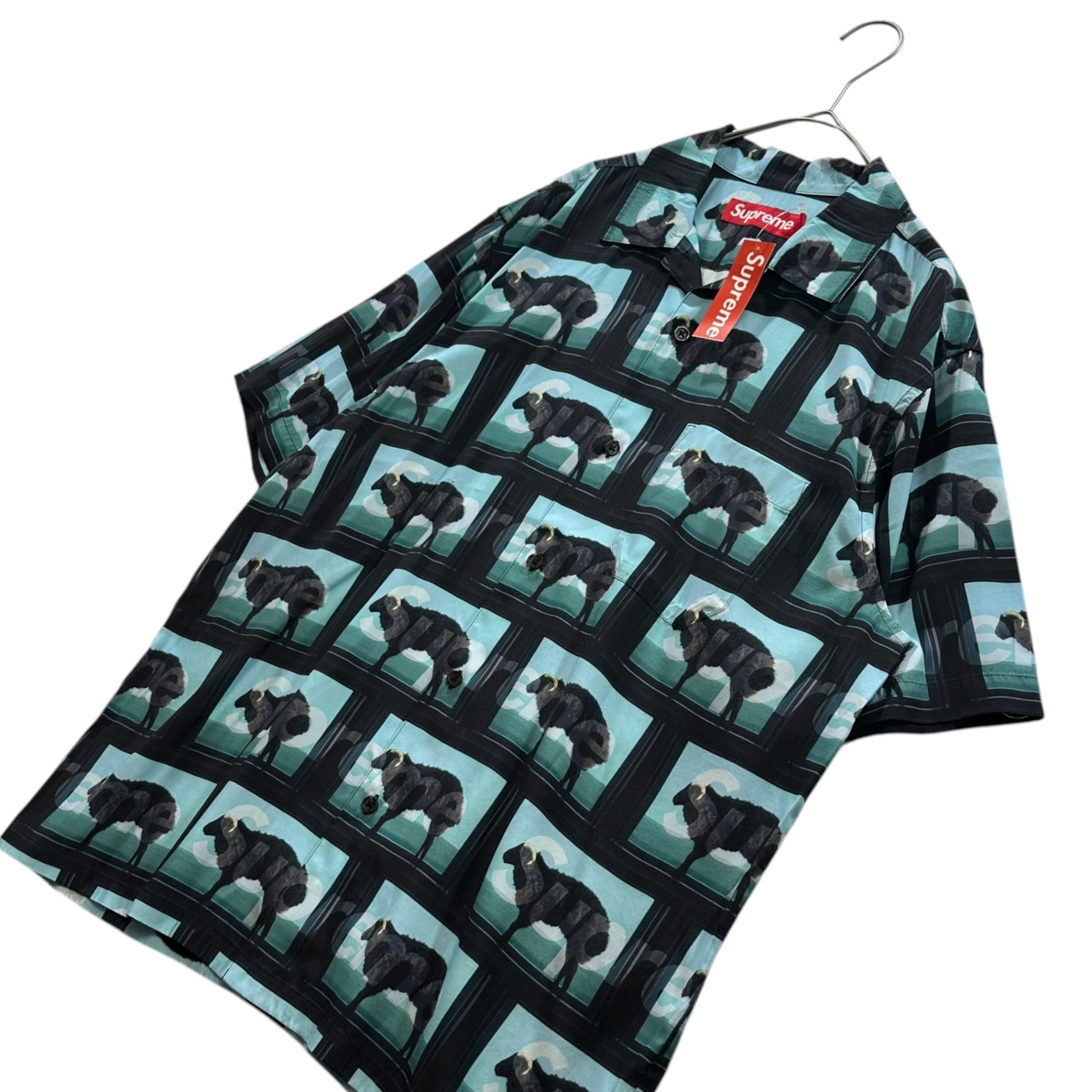 SUPREME(シュプリーム) 2025SS Damien Hirst S/S Shirt ダミアン ハースト 半袖 シャツ S スカイブルー×ブラック レーヨン オープンカラー