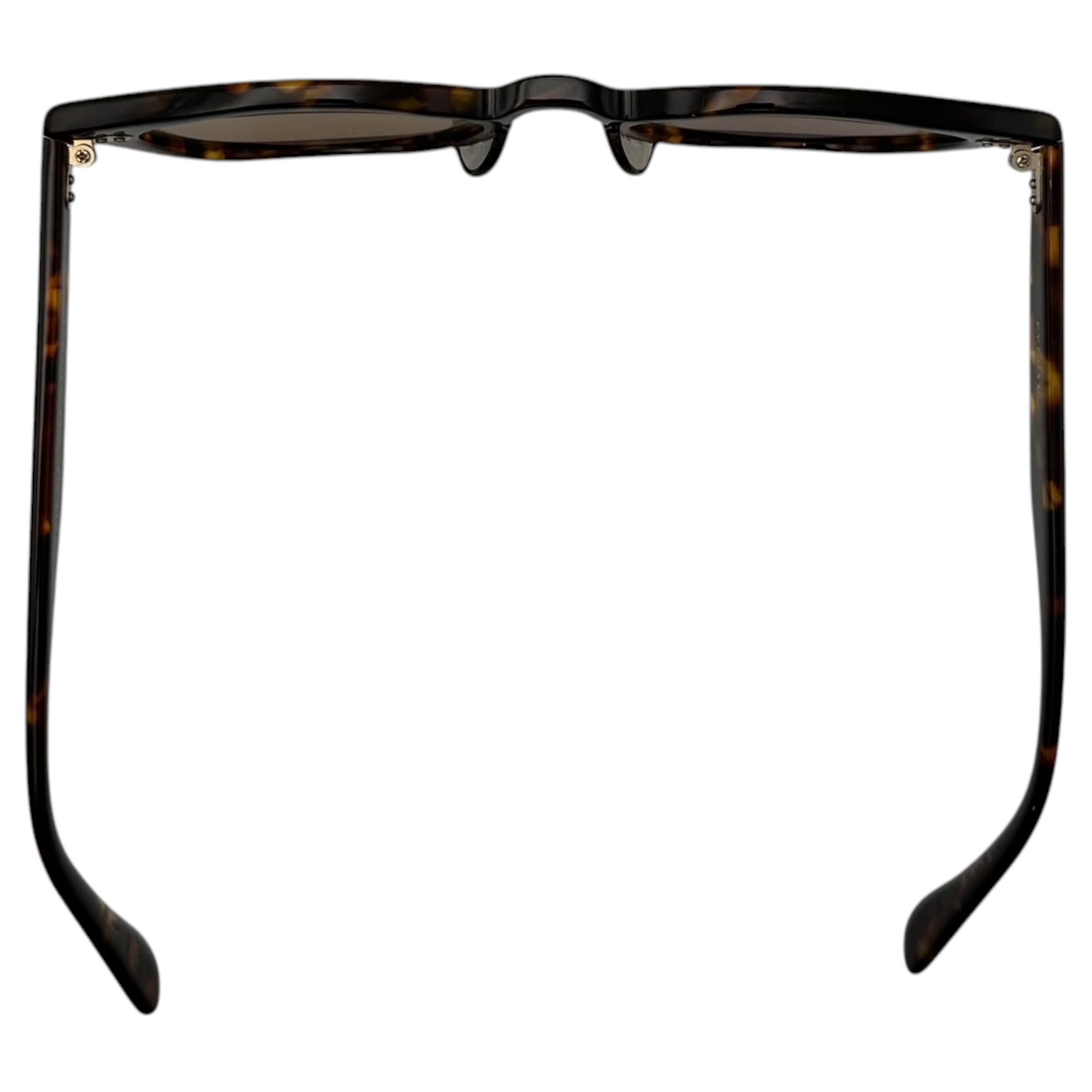 eyevan 偏光　サングラス　webb-sun 51-21-145 EYEVAN(アイヴァン) Webb - SUN (TORT S BR) ウェリントン サングラス