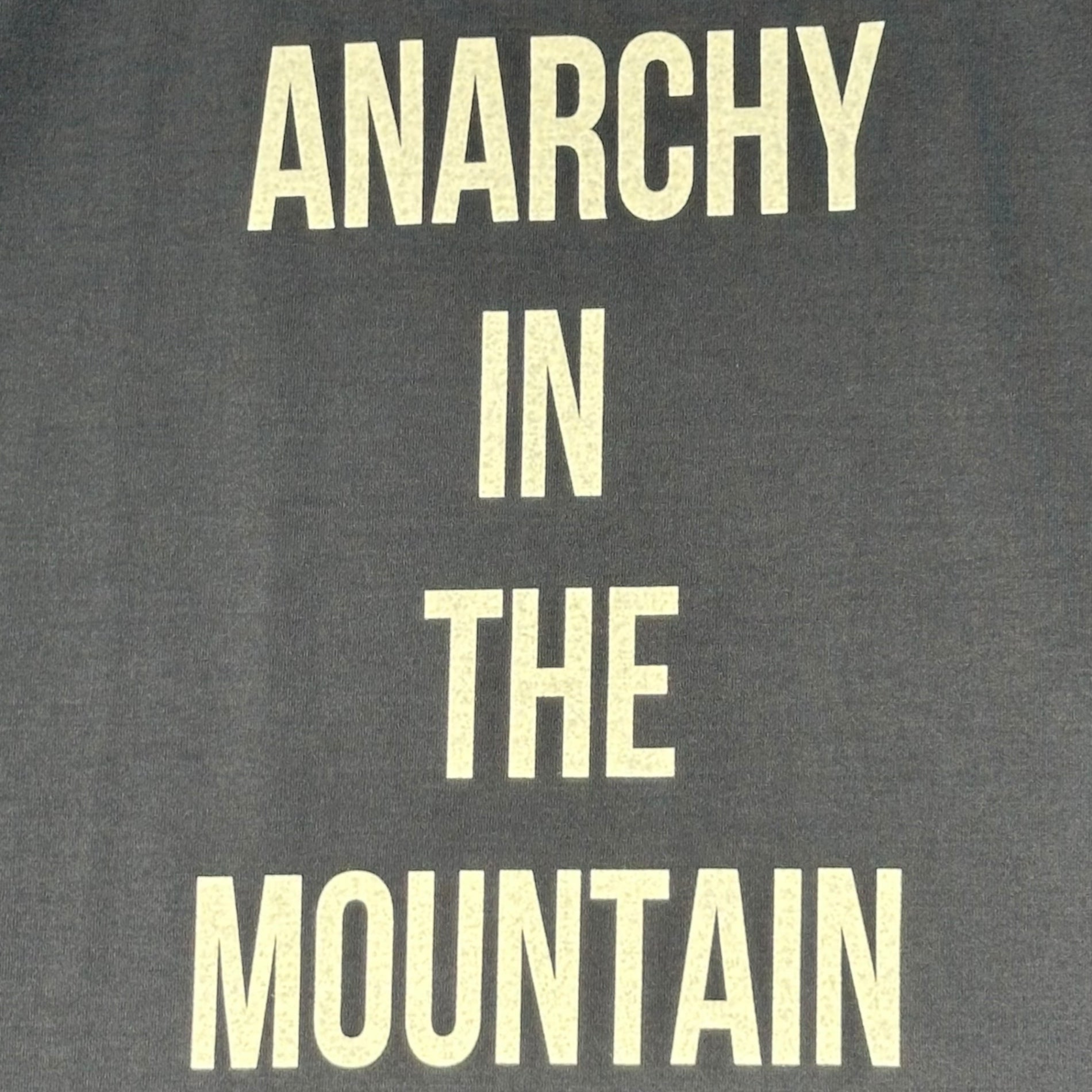 Mountain Research(マウンテンリサーチ)  A.I.T.M. Printed T-Shirt プリント Tシャツ MTR-3563 XL ブラック