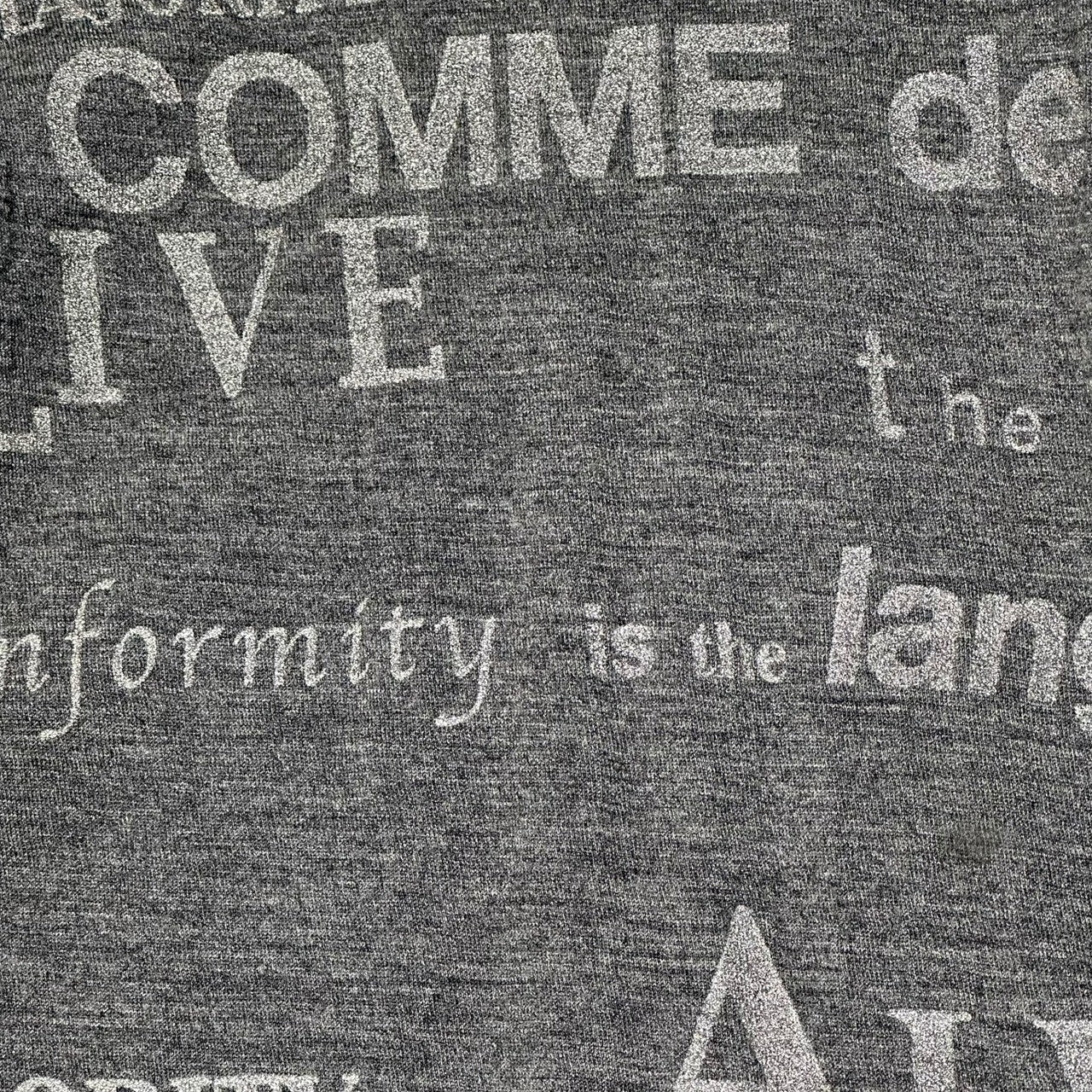 COMME des GARCONS(コムデギャルソン) 03AW  Lamé brand logo wool top ラメ ブランド ロゴ ウール カットソー GK-T038 表記無(M程度) グレー AD2003