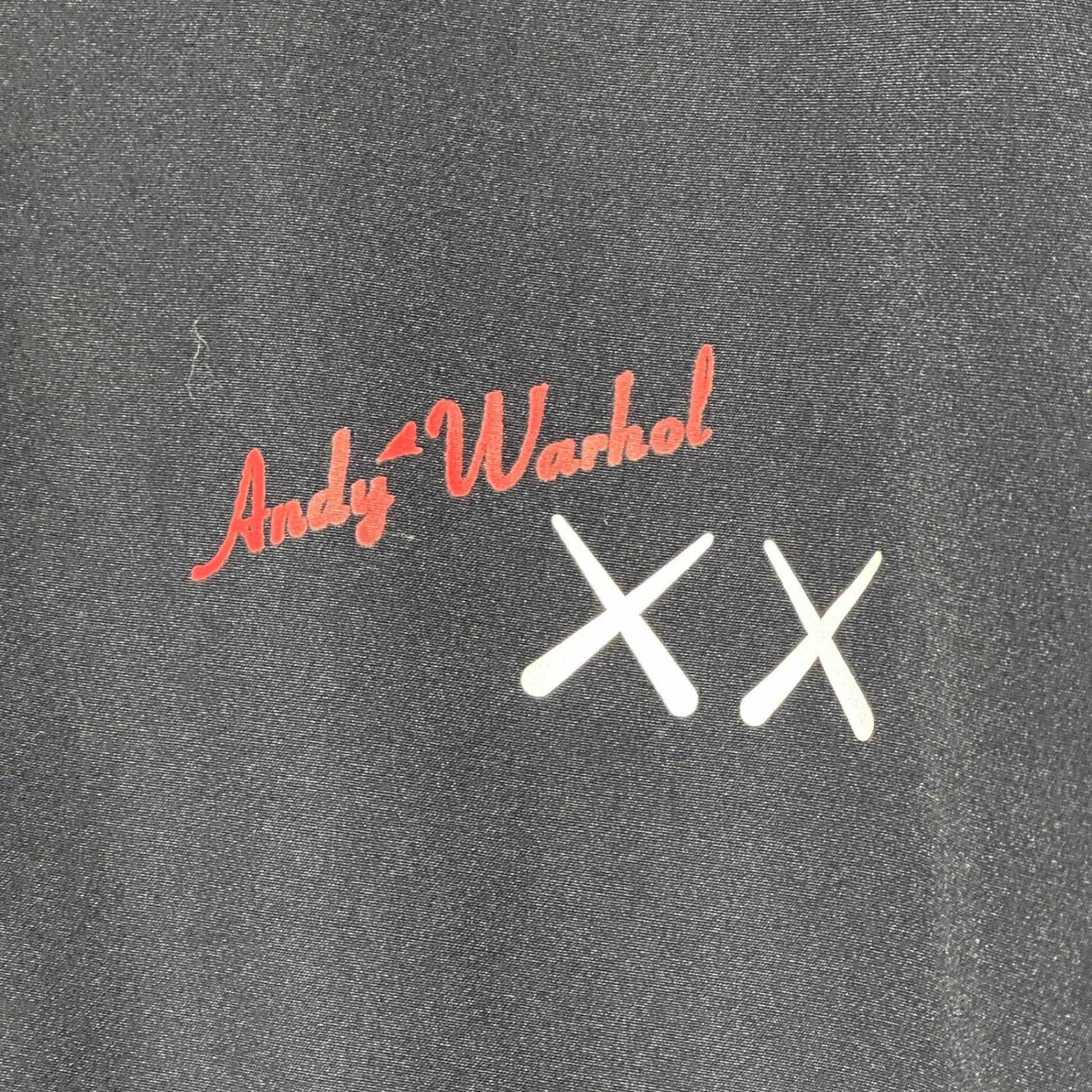 UNIQLO×KAWS×Warhol(ユニクロ×カウズ×アンディーウォーホル) Collaboration Water-Repellent Coach Jacket コラボ はっ水コーチジャケット L ブラック