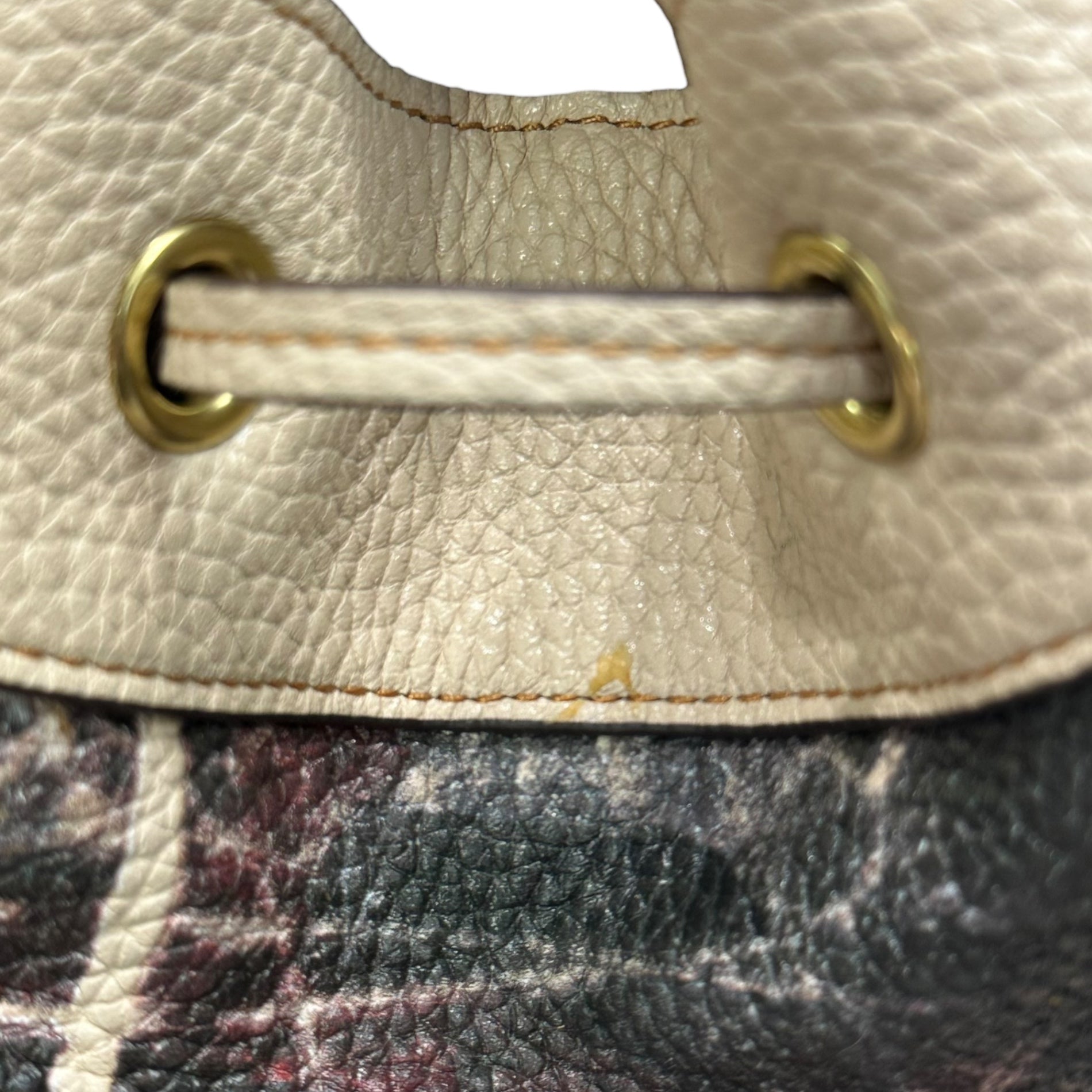 COACH(コーチ) X Mint + Serf Carriage キャリッジ バックパック CE190 ベージュ リュック レザー グラフィック