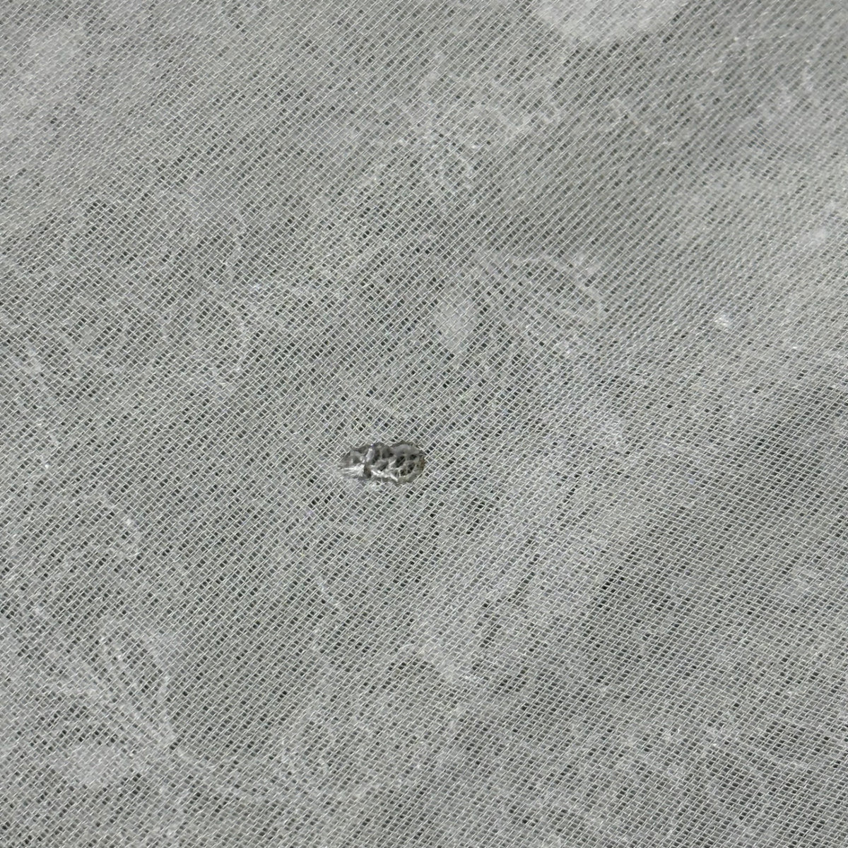 robe de chambre COMME des GARCONS(ローブドシャンブルコムデギャルソン) 1996AW Sheer Lace Inner Jacket インナー レース シアー ジャケット RJ-100260 FREE グレー AD1996 90s アーカイブ
