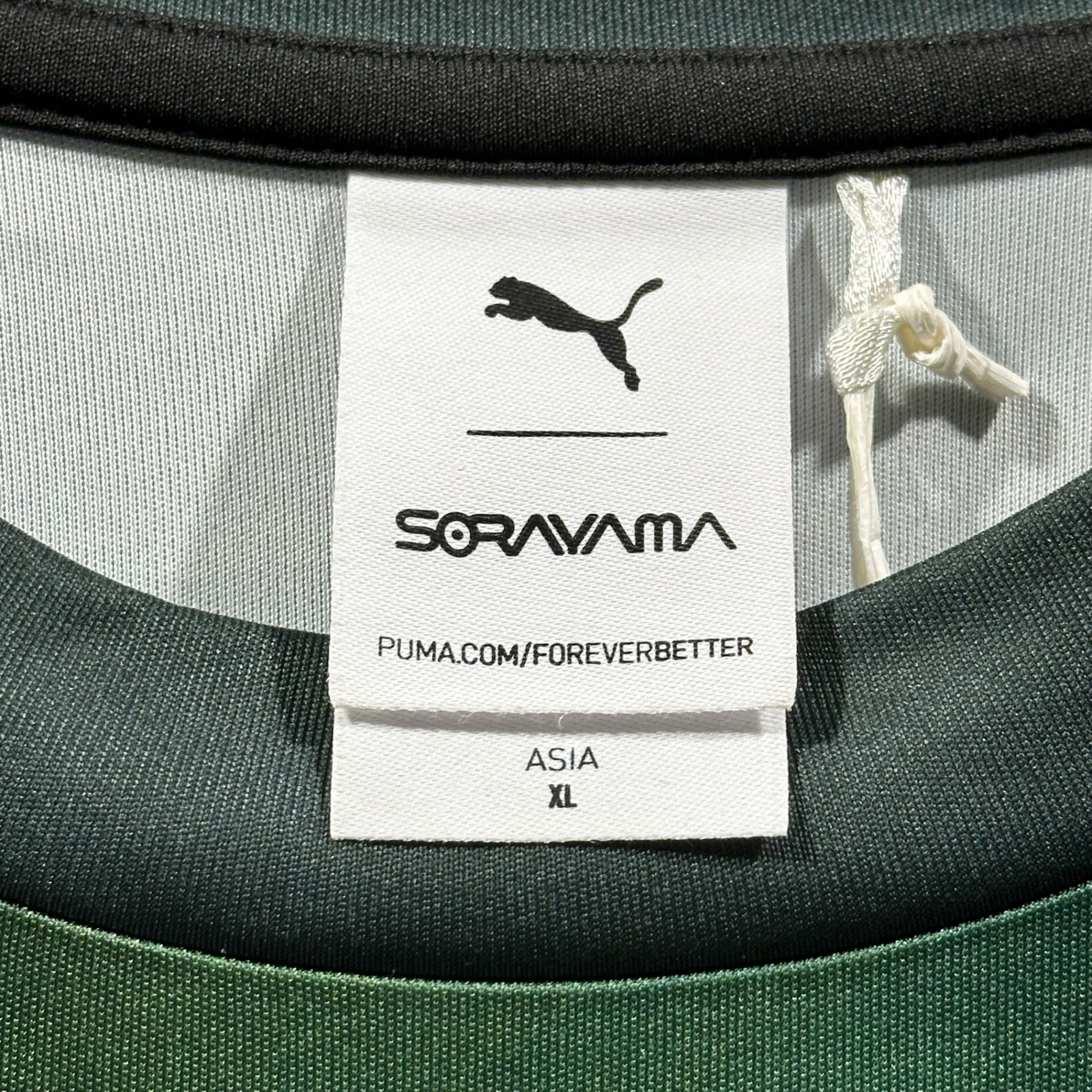 PUMA x SORAYAMA(プーマ × ソラヤマ) 24SS Surreal Futurism Dragon Long-Sleeve T-Shirt 超現実的なフューチャリズム ドラゴン 長袖 カットソー 626532 01 XL グリーン 空山 基氏コラボ 辰年