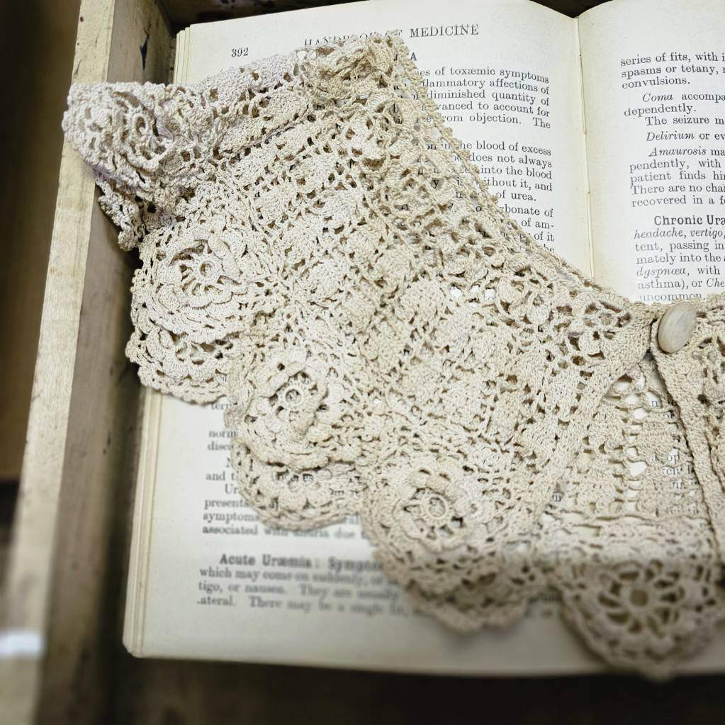Euro vintage(ヨーロッパヴィンテージ) the cotton delicate lace collar 繊細な花模様レースのコットンつけ襟 ベージュ