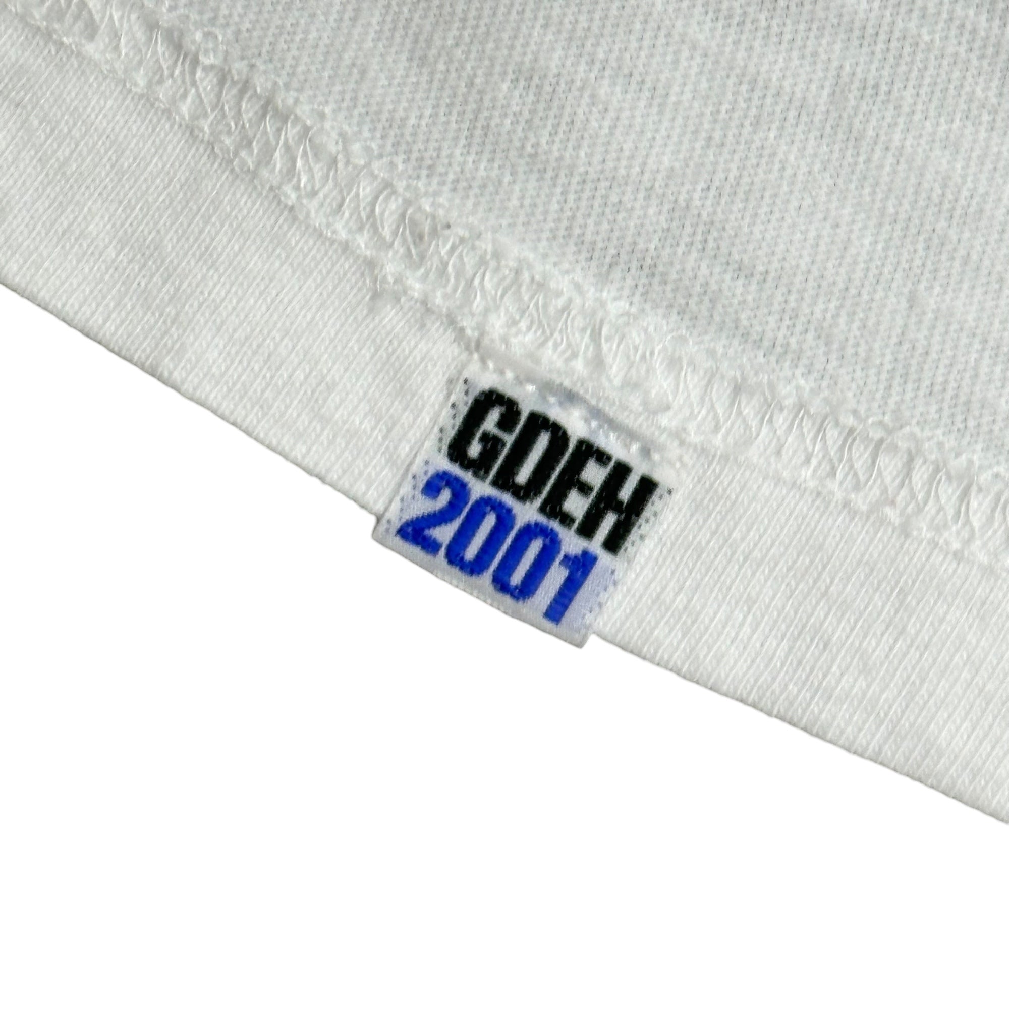 GOODENOUGH(グッドイナフ) 2001's cotton base Chemical G Logo Print s/s T-Shirt ケミカル G ロゴ プリント 半袖 Tシャツ M ホワイト×マルチカラー