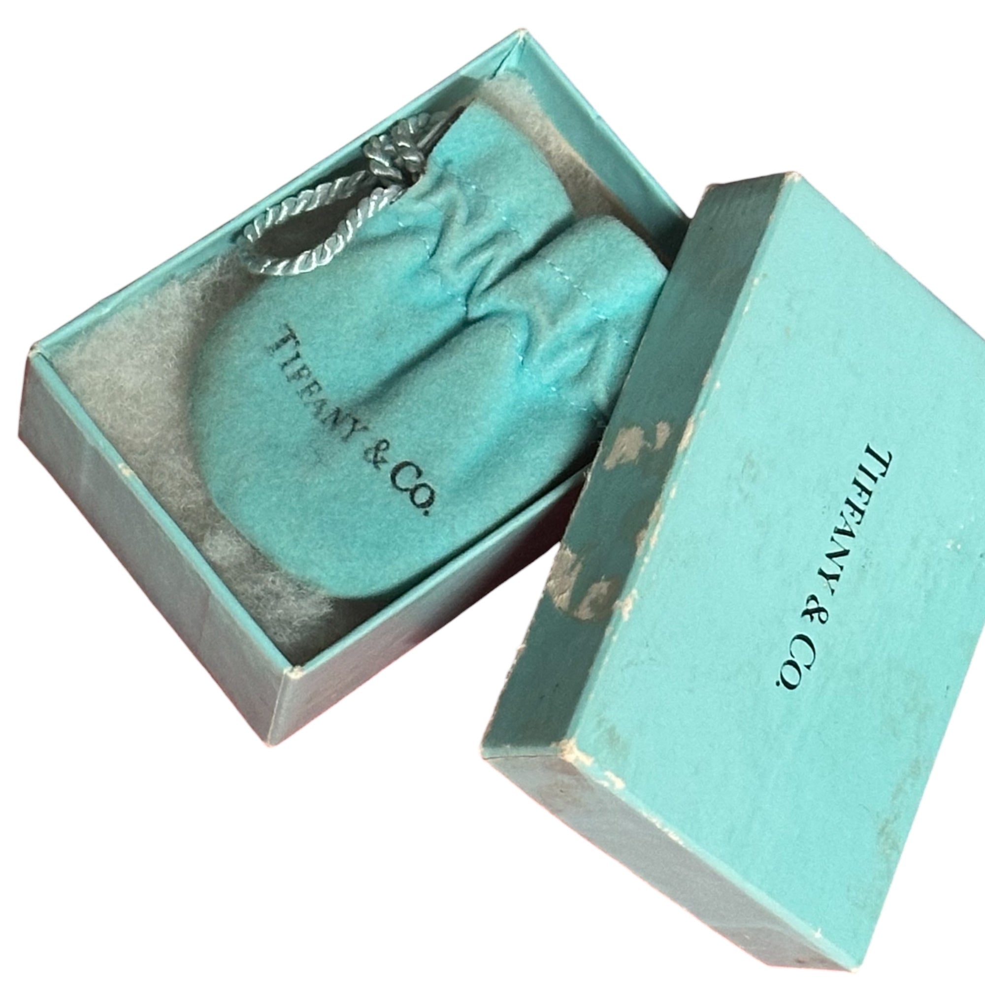 TIFFANY & CO.(ティファニー) Apple Frame Top Necklace アップル フレーム トップ ネックレス シルバー