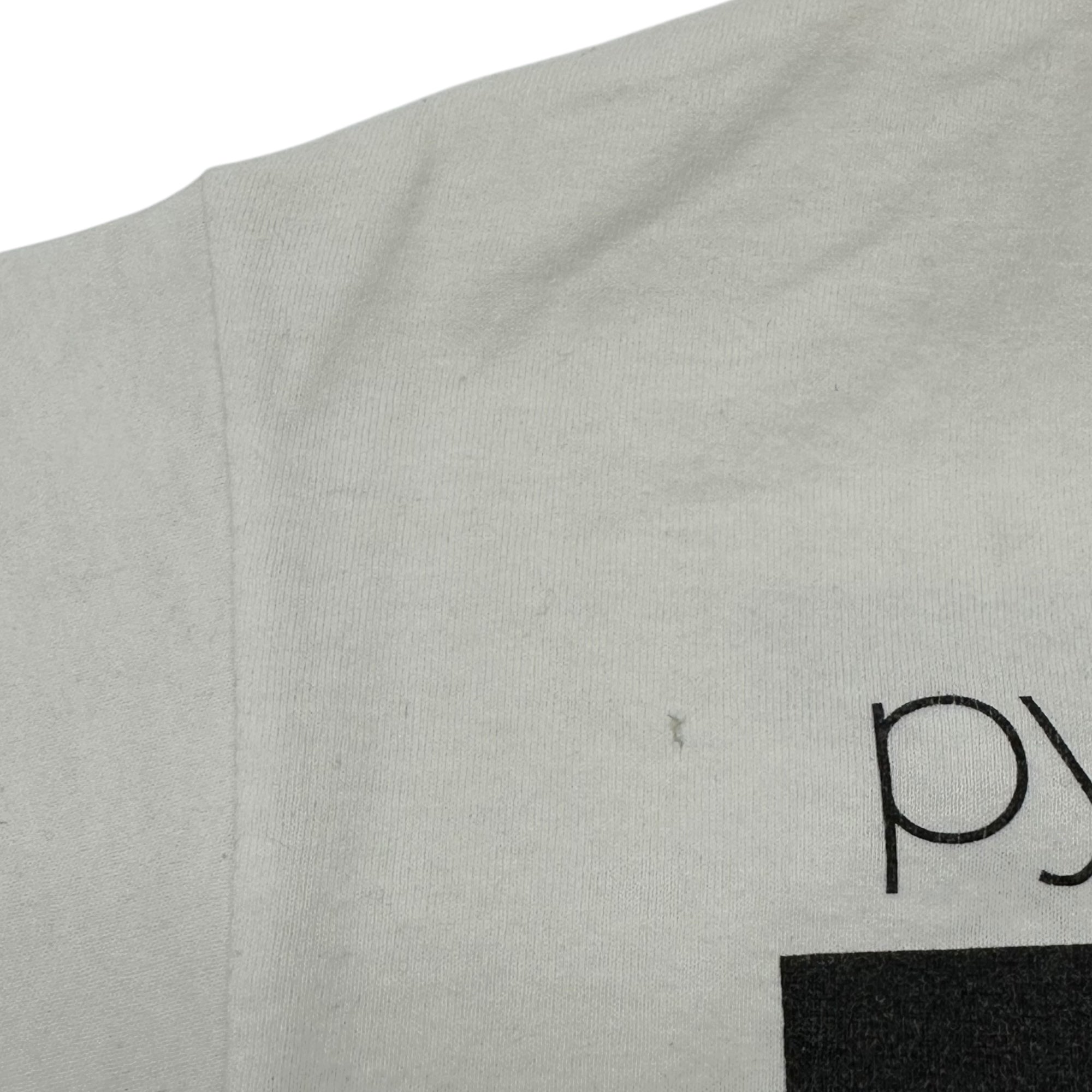 Champion(チャンピオン) Pyrex Vision Religion White Tee パイレックス ビジョン レリジョン Tシャツ M ホワイト 最初期