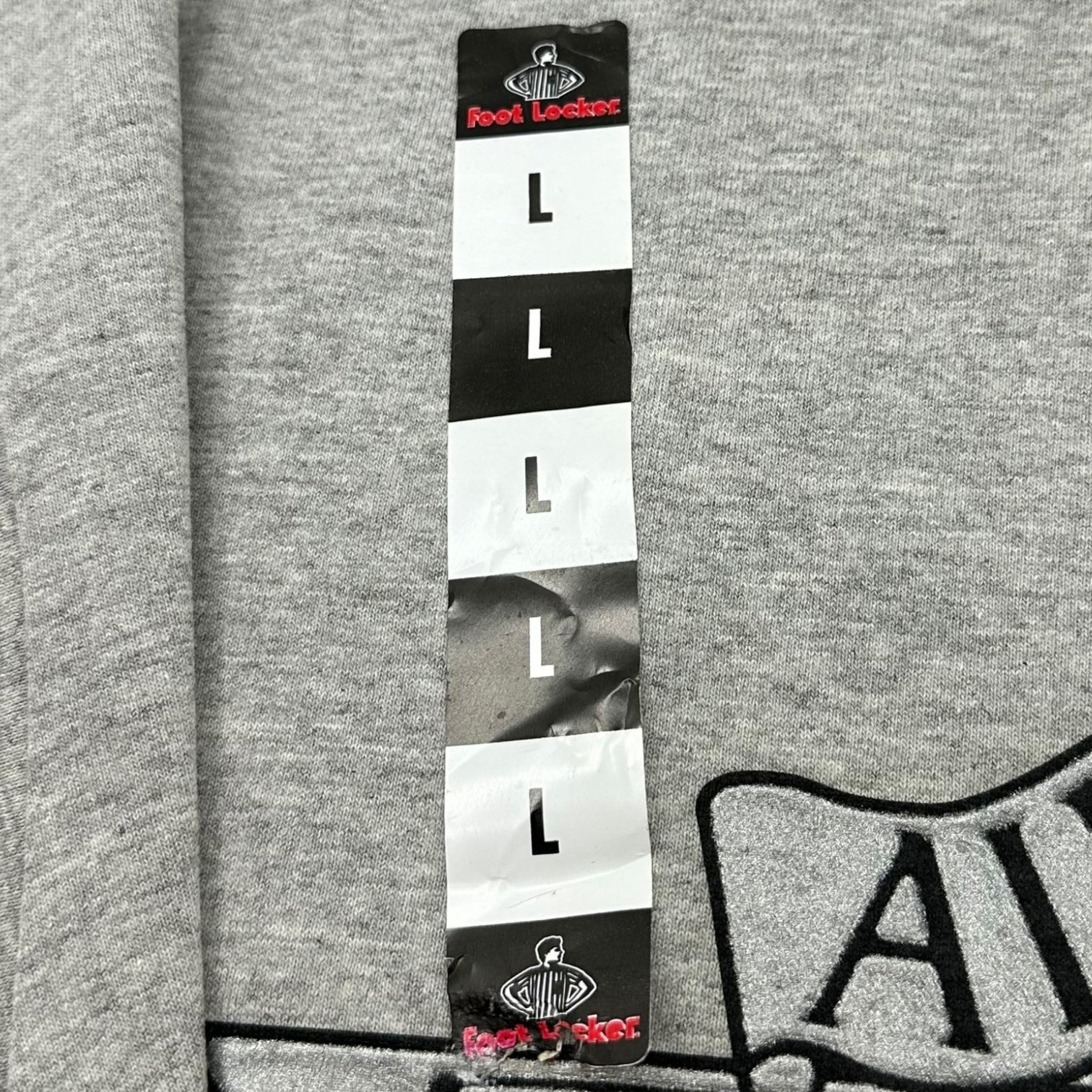 NIKE(ナイキ) 90's JORDAN WING LOGO 3D PRINT Tee ジョーダン ウィング ロゴ 3Dプリント Tシャツ 180672-059 L グレー 90年代 ヴィンテージ デッドストック