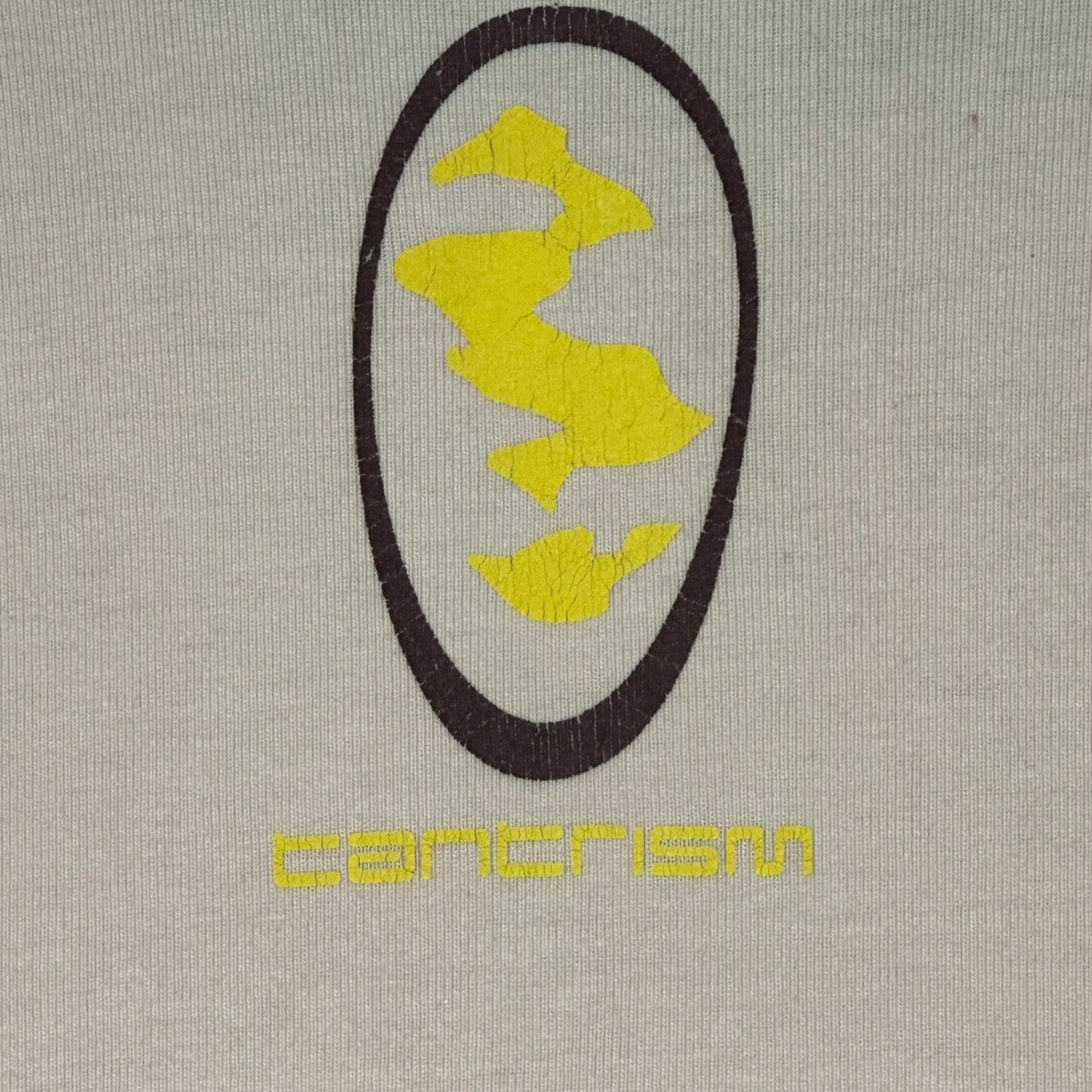 nonnative(ノンネイティブ) 00's old logo Printed Raglan S/S T-shirt オールド ロゴ プリント ラグラン 半袖 Tシャツ 表記無(M程度) ベージュ×ブラウン